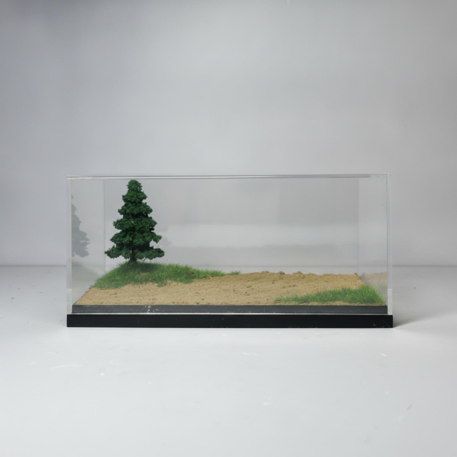 Miniatuur Race-Displaybox met  - Display Case Acrylic recensie en prijs