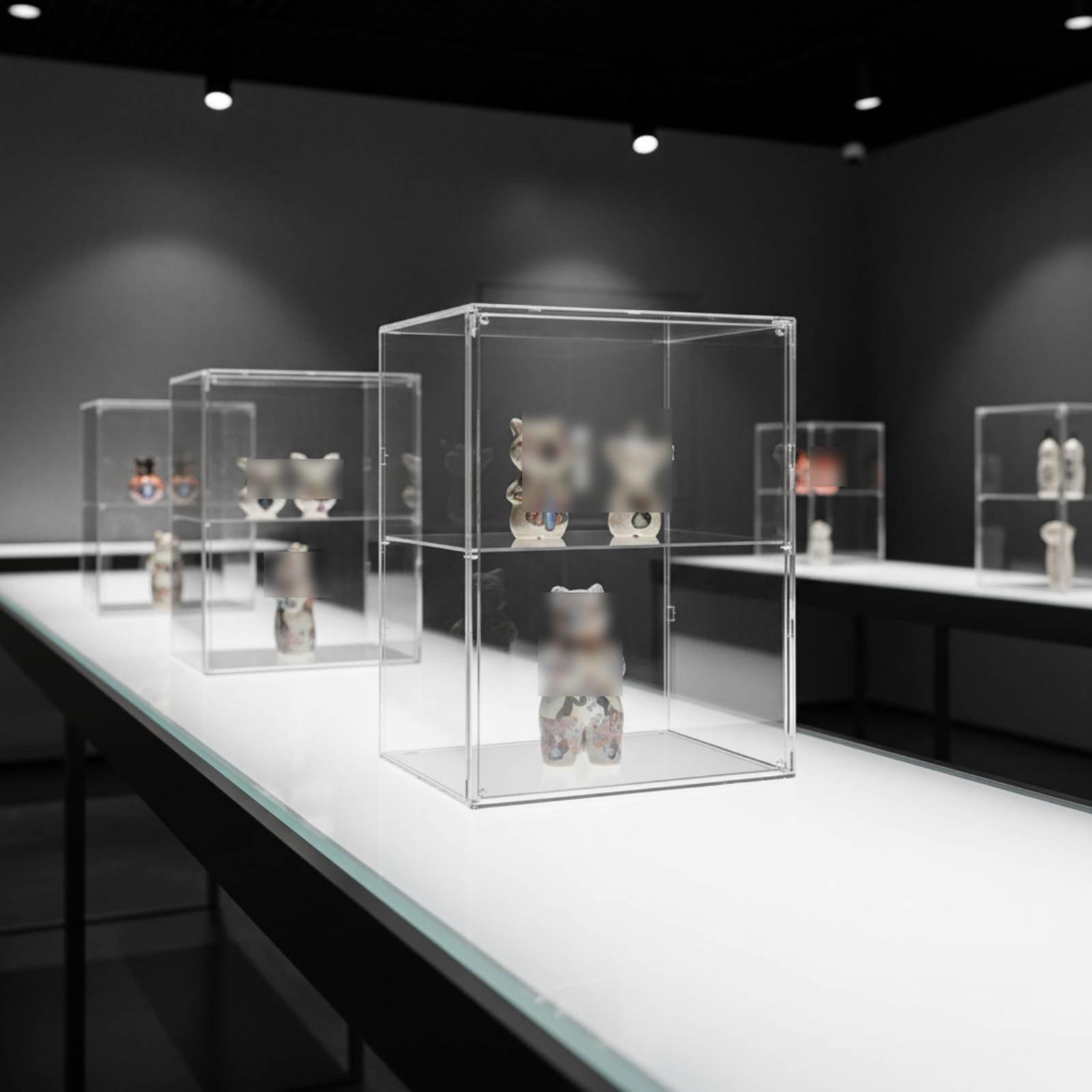 Grote poppen-displayplank in a - Display Case Acrylic recensie en prijs